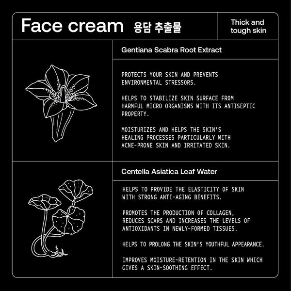 Gesichtscreme Masterpiece 50ml Gesichtscreme & Serum KD-COSMETIC   