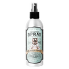 Grooming Spray SEA SALT Texture Sprays & Tonics Mr Bear Family   